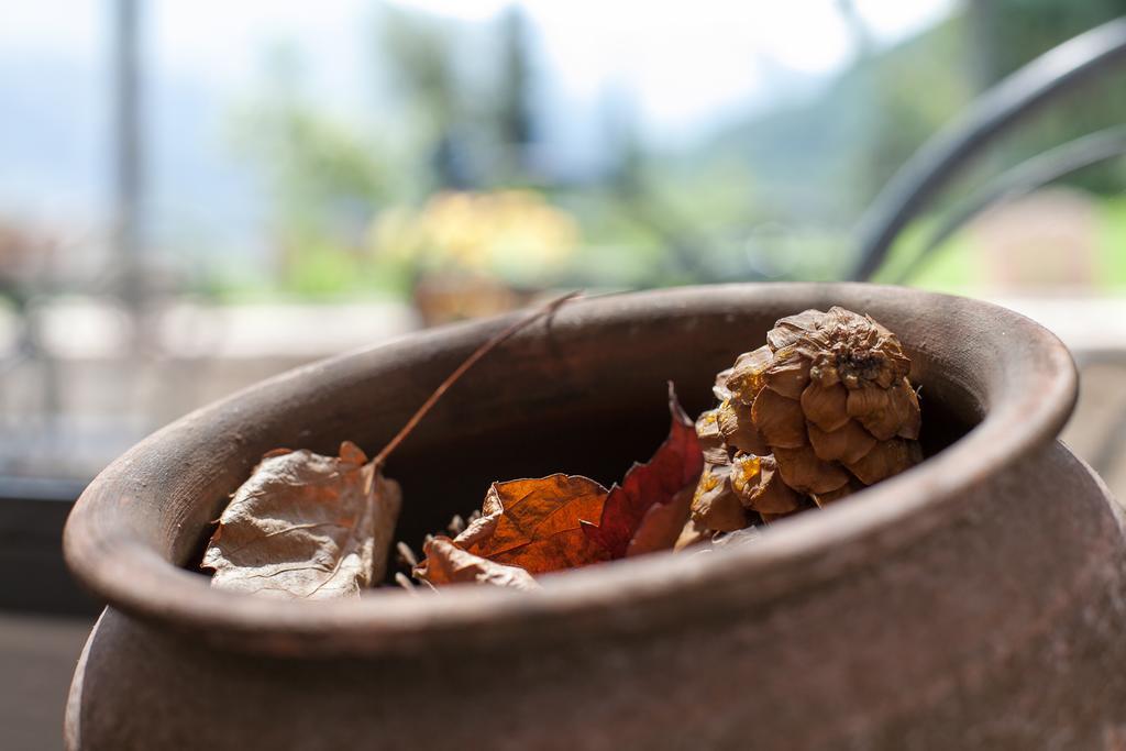 Agriturismo Maso Lizzone Dro Zewnętrze zdjęcie