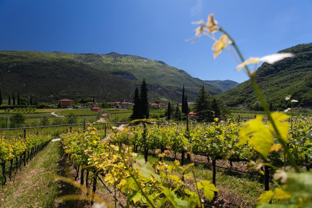 Agriturismo Maso Lizzone Dro Zewnętrze zdjęcie